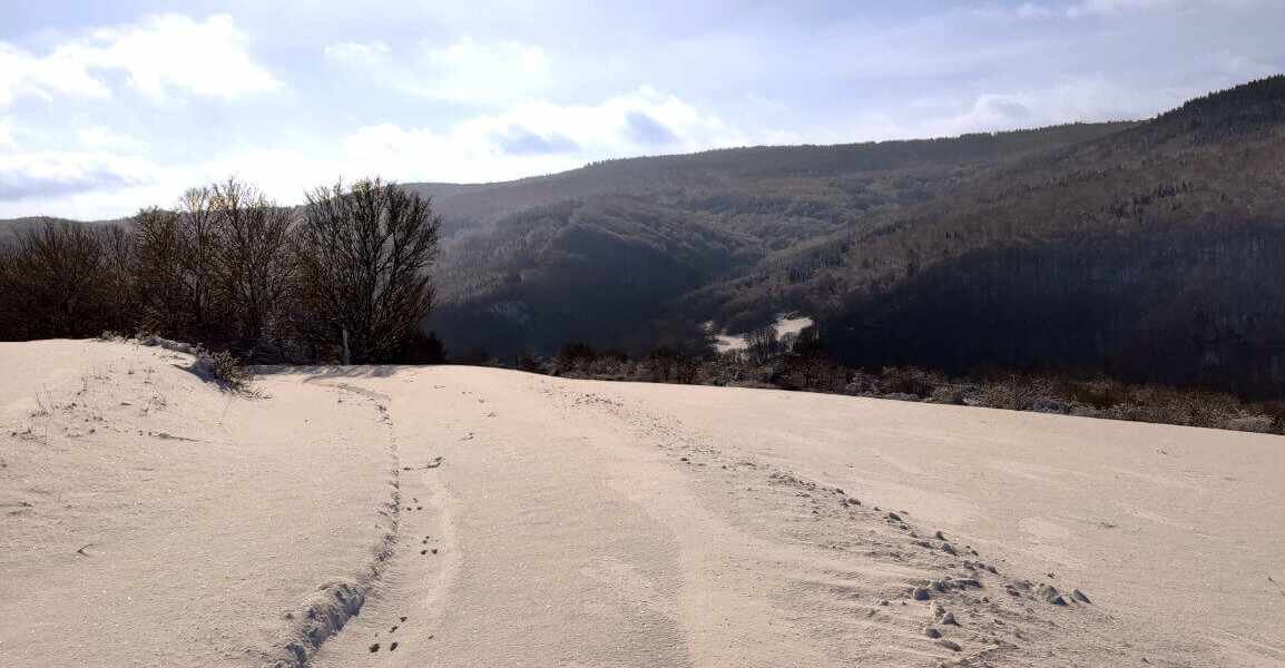 Drittes Motiv