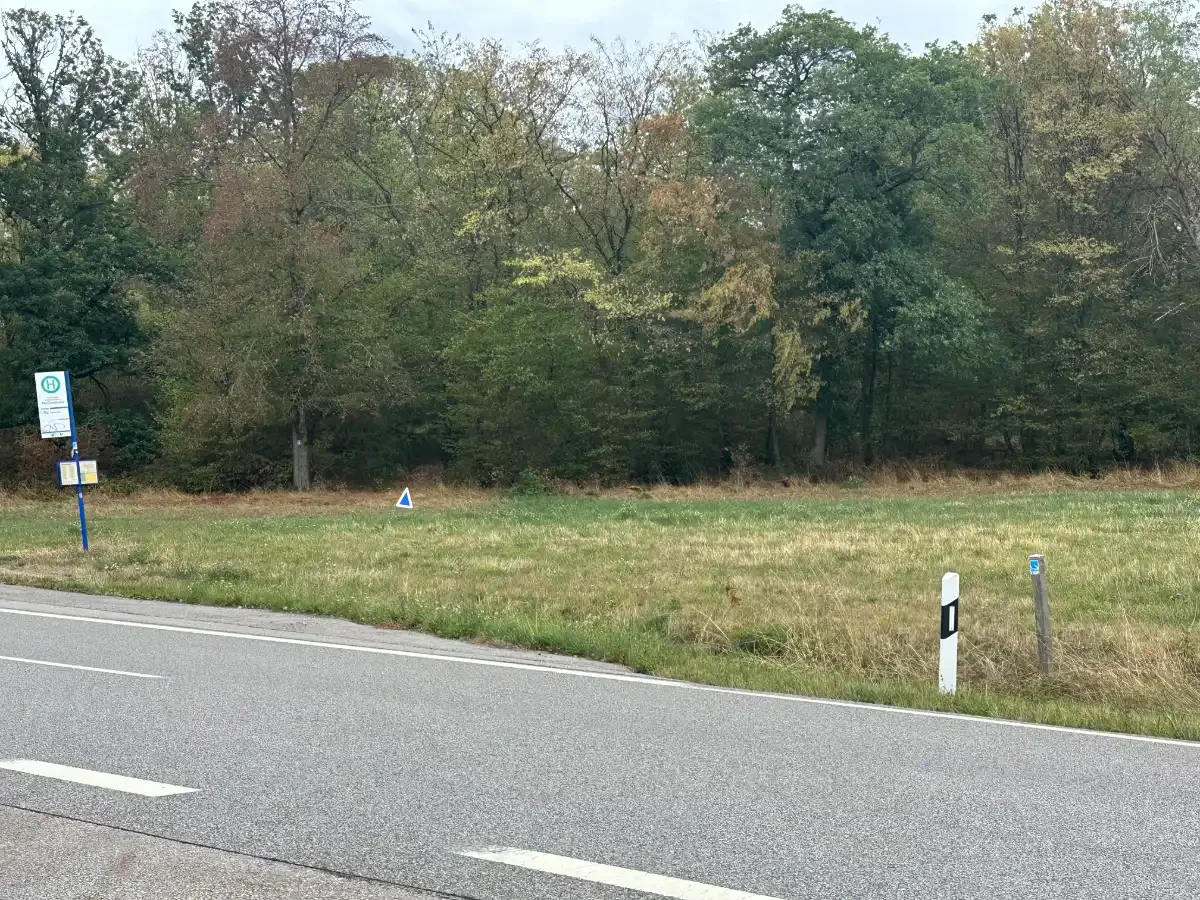 Eingang zum Pfad Da gehts in den Wald