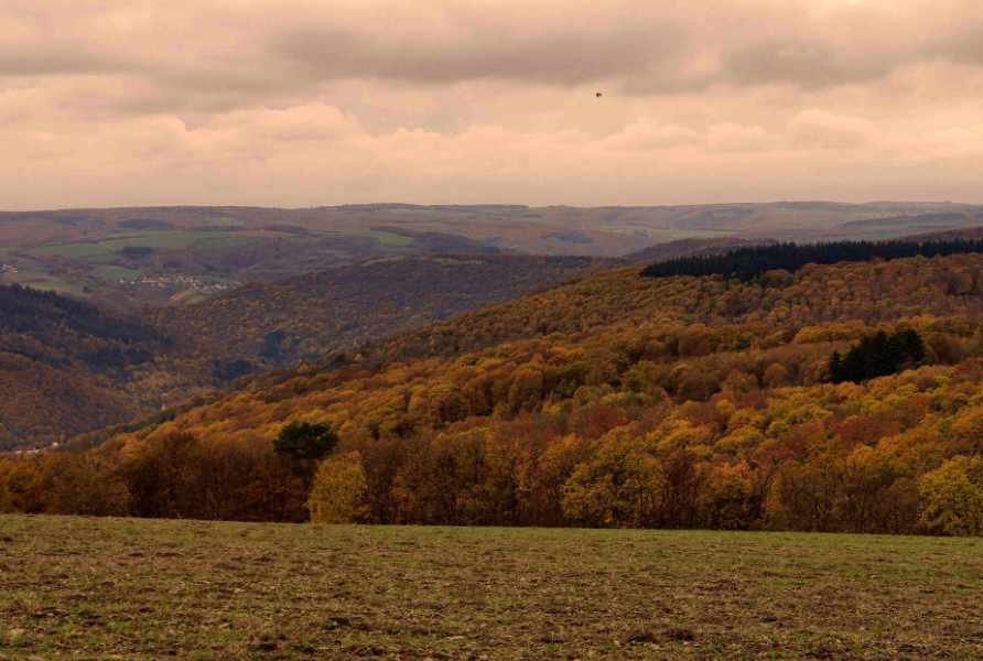 Zweites Motiv