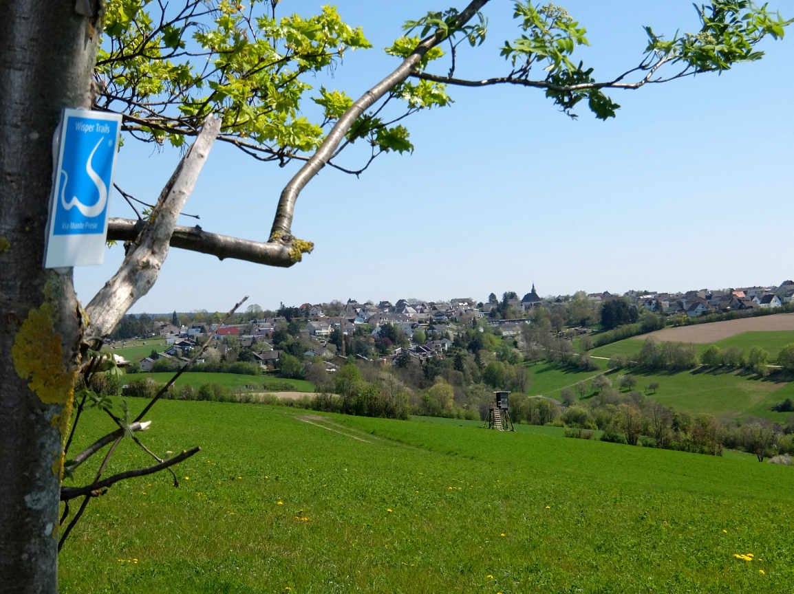 Blick auf Presberg