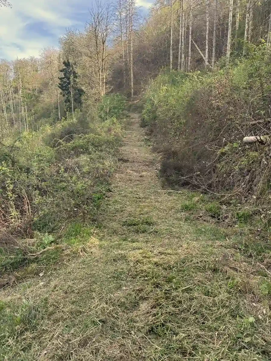 neuer_weg_holder_fertig.webp