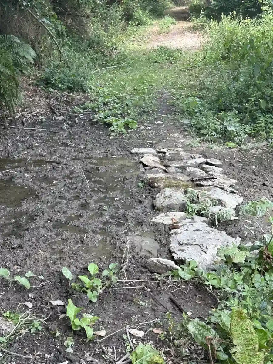 neuer_weg_wasserloch.webp