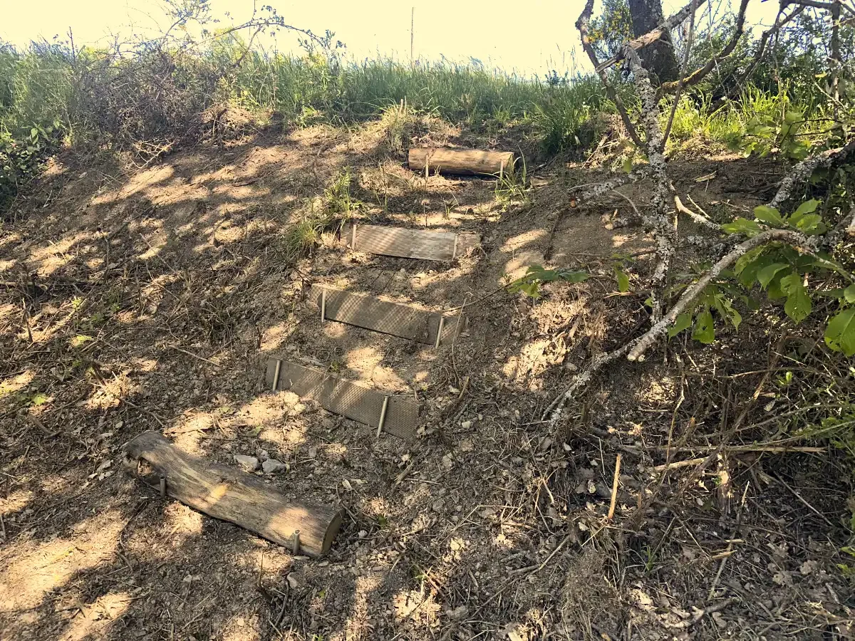 neue_treppe.webp