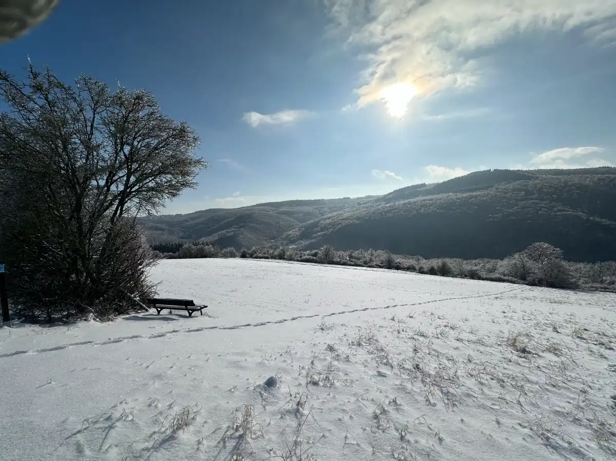 Die Landschaft